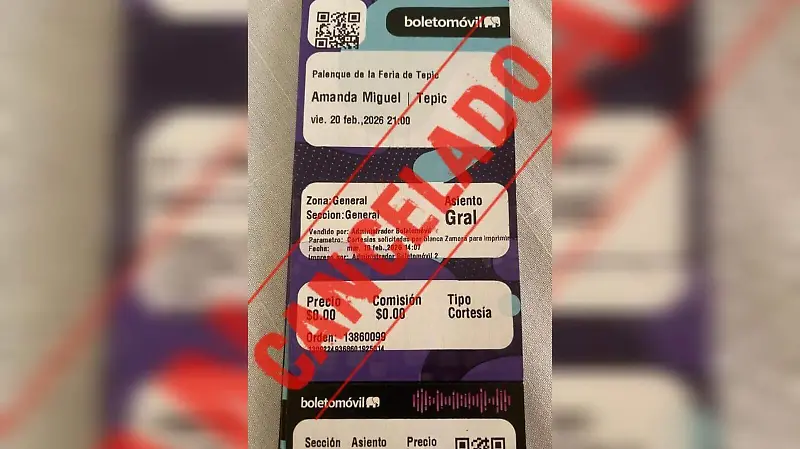 Amanda Miguel Fraude (1).jpeg